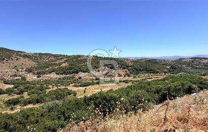 İZMİR DİKİLİ ÇANDARLI VİLLA İMARLI FIRSAT ARSA YAYLAYURT KÖYÜ YAKINI