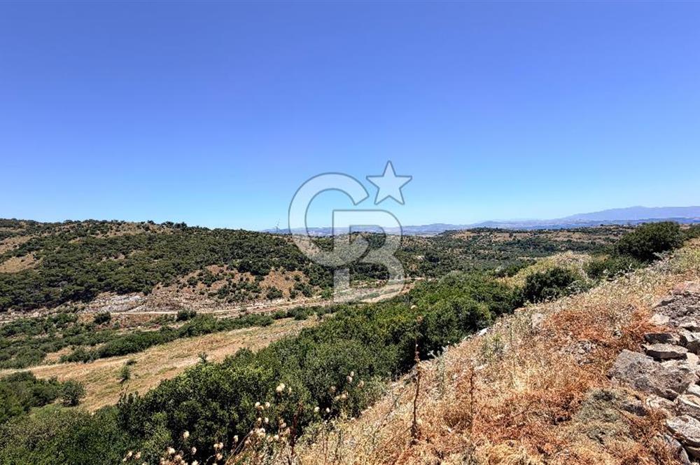 İZMİR DİKİLİ ÇANDARLI VİLLA İMARLI FIRSAT ARSA YAYLAYURT KÖYÜ YAKINI