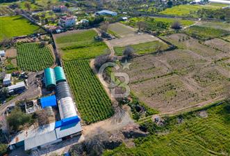 Balçova İnciraltı Yatırım Fırsatı - 1 - 352853