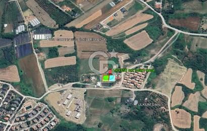 YALOVA TERMAL AKKÖY SATILIK DENİZ VE DOĞA MANZARALI ARSA 550m2!.
