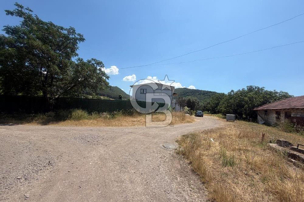 Yalova Tavşanlıda Deniz ve Orman manzaralı satılık müstakil ev!