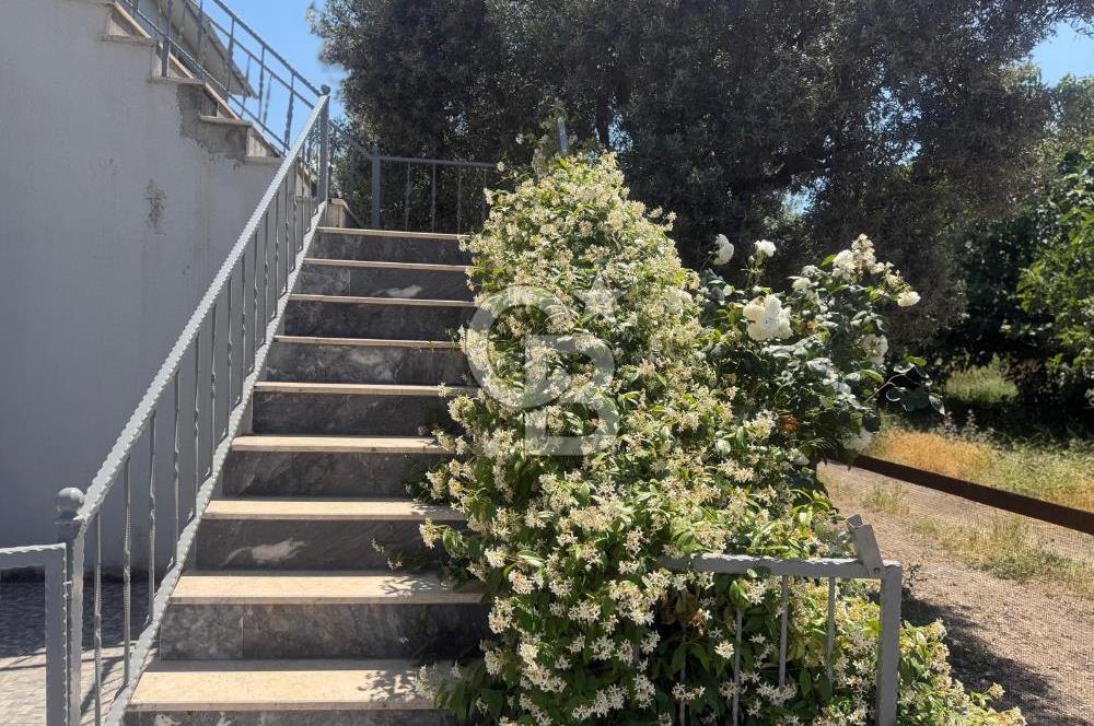 Yalova Tavşanlıda Deniz ve Orman manzaralı satılık müstakil ev!