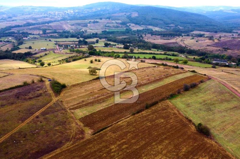 İzmit Akmeşe Satılık 7802m2 Resmi Yola Cephe Değerli Arazi