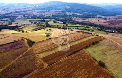 İzmit Akmeşe Satılık 7802m2 Resmi Yola Cephe Değerli Arazi