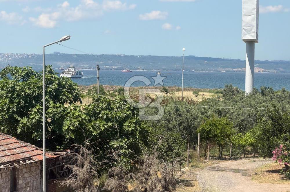 Yalova Tavşanlıda Deniz ve Orman manzaralı satılık müstakil ev!
