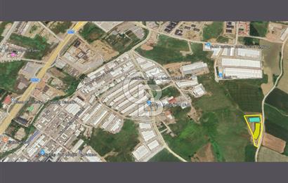YALOVA KİRAZLI SANAYİDE RUHSATLI & PROJELİ 2810 m² FABRİKA ARSA