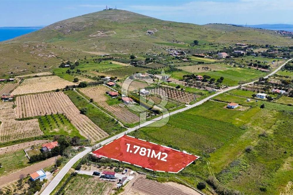 BOZCAADA CUMHURİYET MAHALLESİNİN EN GÜZEL KONUMUNDA SATILIK BAĞ
