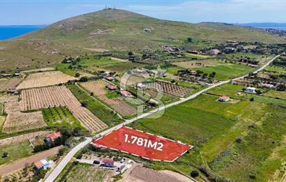 BOZCAADA CUMHURİYET MAHALLESİNİN EN GÜZEL KONUMUNDA SATILIK BAĞ