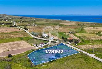 BOZCAADA CUMHURİYET MAHALLESİNİN EN GÜZEL KONUMUNDA SATILIK BAĞ - 4 - 352954