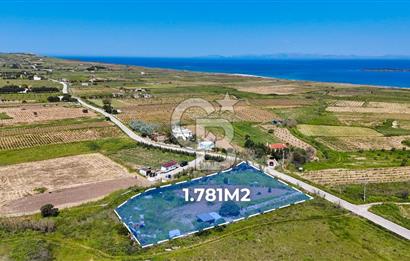 BOZCAADA CUMHURİYET MAHALLESİNİN EN GÜZEL KONUMUNDA SATILIK BAĞ