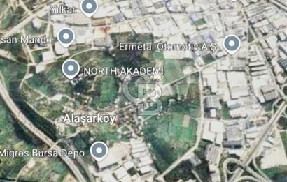 Bursa Osmangazi Armutköy Satılık Tarla 13.000.000 TL
