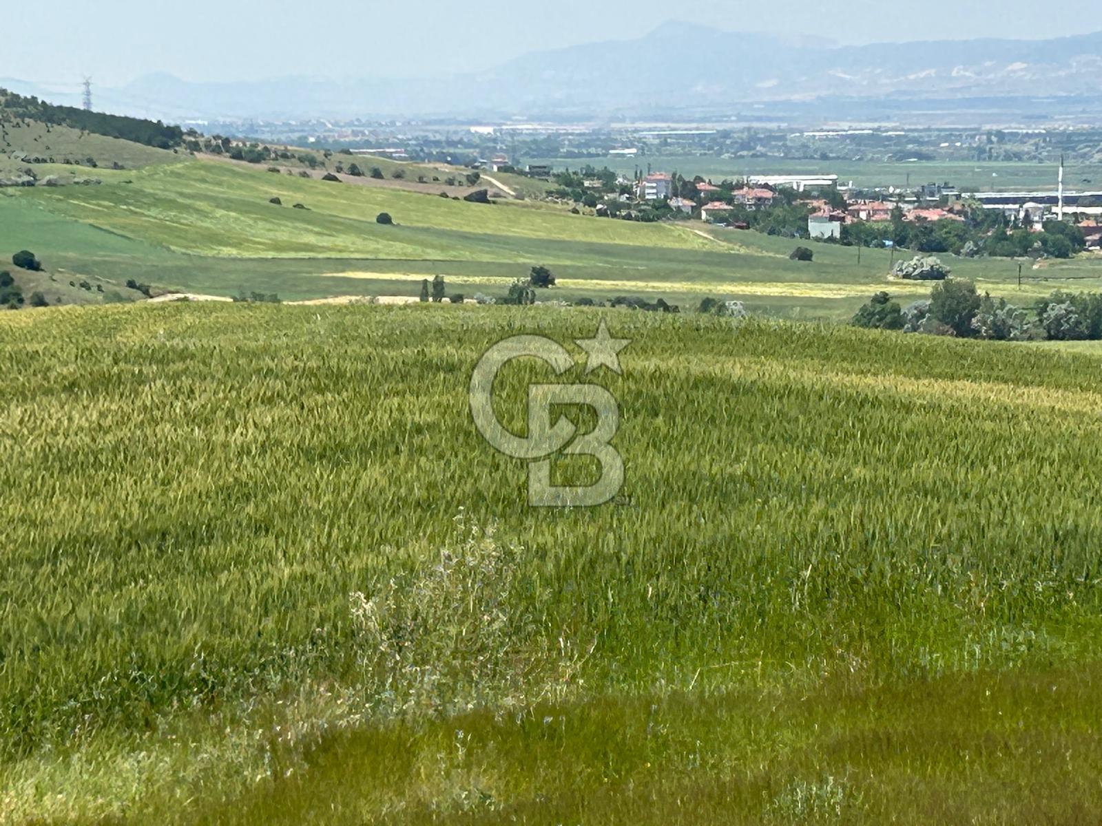 Kahramankazan Güvenç'de 2000m² Satılık Tarla