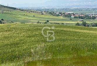 Kahramankazan Güvenç'de 2000m² Satılık Tarla - 1 - 352984