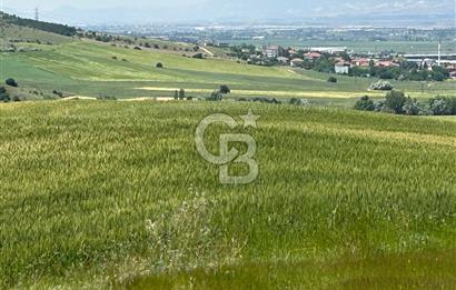 Kahramankazan Güvenç'de 2000m² Satılık Tarla