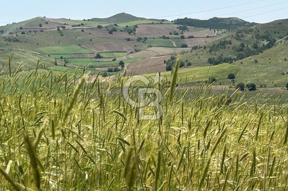Kahramankazan Aydın'da 3000m² Satılık Tarla