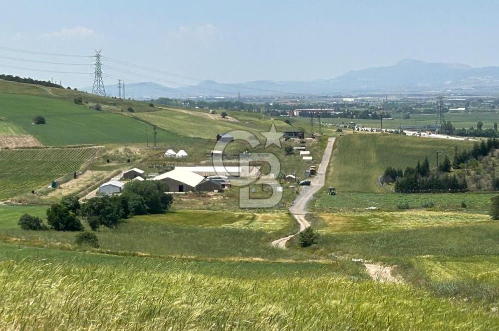Kahramankazan Aydın'da 3000m² Satılık Tarla