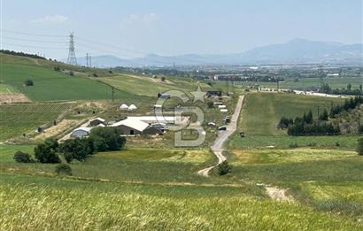 Kahramankazan Aydın'da 3000m² Satılık Tarla