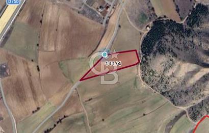Kahramankazan Aydın'da 3000m² Satılık Tarla