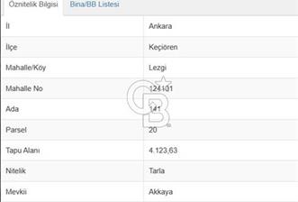 Lezgi'de 4.123 m² Yatırımlık Fırsat Arsa - 4 - 352977