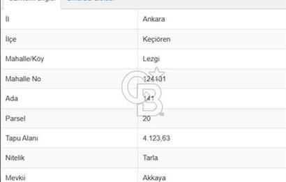 Lezgi'de 4.123 m² Yatırımlık Fırsat Arsa