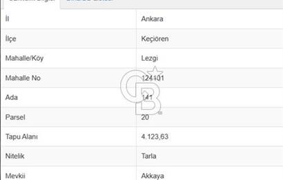 Lezgi'de 4.123 m² Yatırımlık Fırsat Arsa