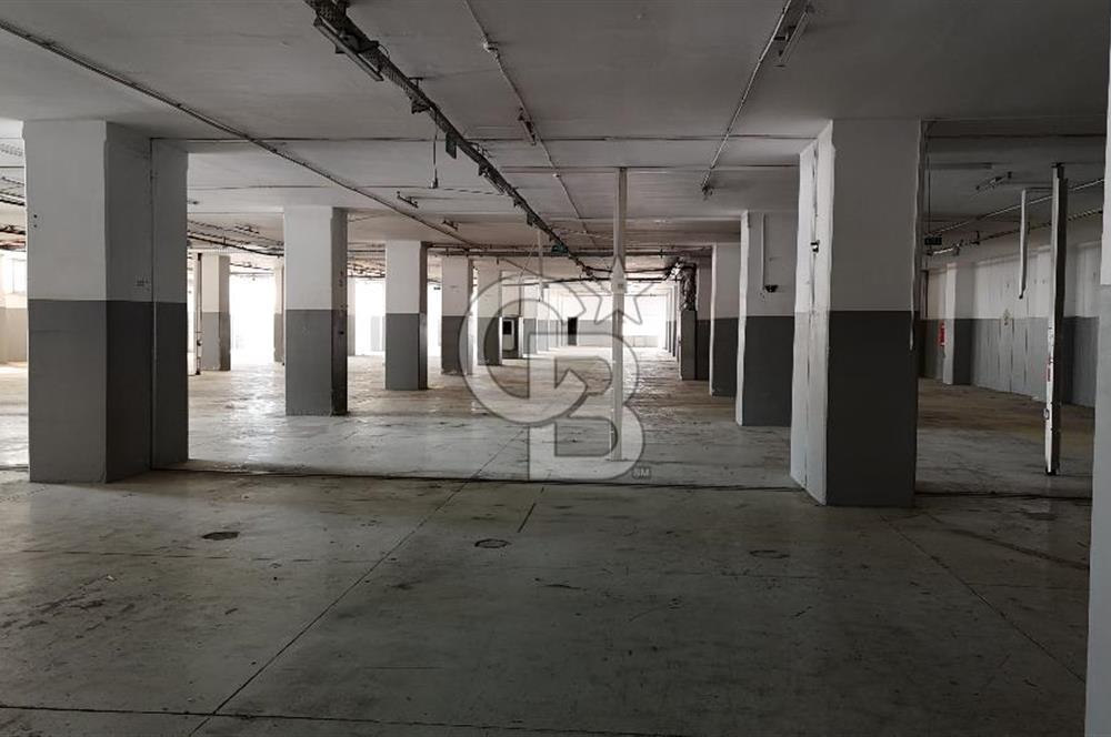 ARNAVUTKÖY 3.300 M2 KİRALIK FABRİKA KATI