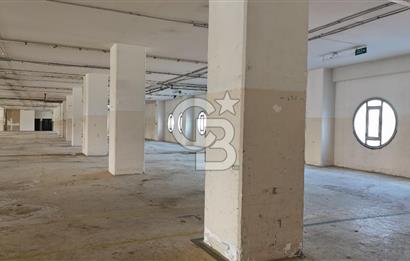 ARNAVUTKÖY 3.300 M2 KİRALIK FABRİKA KATI