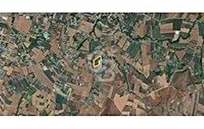  ÇATALCA OVA YENİCE'DE SATILIK 400 M2 TARLA