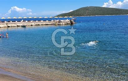 CB AMBIANCE BODRUM TÜRKBÜKÜ KİRALIK VİLLA