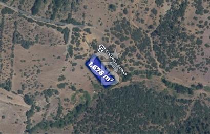CB Eagle'Dan DURSUNBEY ALAGÜNEY'DE 1.676 m² SATILIK TARLA