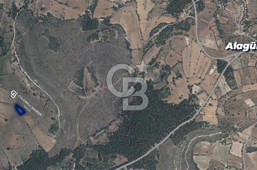 CB Eagle'Dan DURSUNBEY ALAGÜNEY'DE 1.292 m² SATILIK TARLA