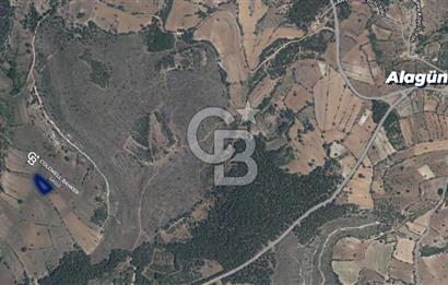 CB Eagle'Dan DURSUNBEY ALAGÜNEY'DE 1.292 m² SATILIK TARLA