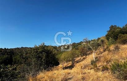 İzmir Güzelbahçe Payamlı Mahallesi'nde satılık tarla