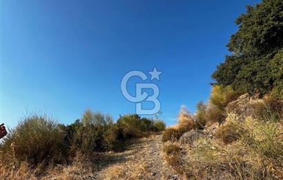 İzmir Güzelbahçe Payamlı Mahallesi'nde satılık tarla