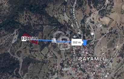 İzmir Güzelbahçe Payamlı Mahallesi'nde satılık tarla