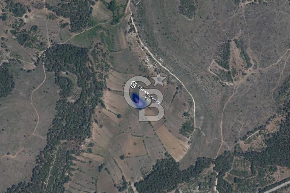 CB Eagle'Dan DURSUNBEY ALAGÜNEY'DE 1.292 m² SATILIK TARLA