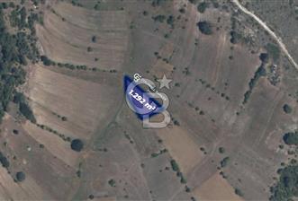 CB Eagle'Dan DURSUNBEY ALAGÜNEY'DE 1.292 m² SATILIK TARLA - 11 - 353018