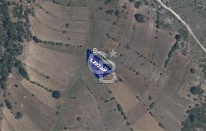 CB Eagle'Dan DURSUNBEY ALAGÜNEY'DE 1.292 m² SATILIK TARLA