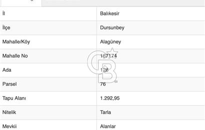 CB Eagle'Dan DURSUNBEY ALAGÜNEY'DE 1.292 m² SATILIK TARLA