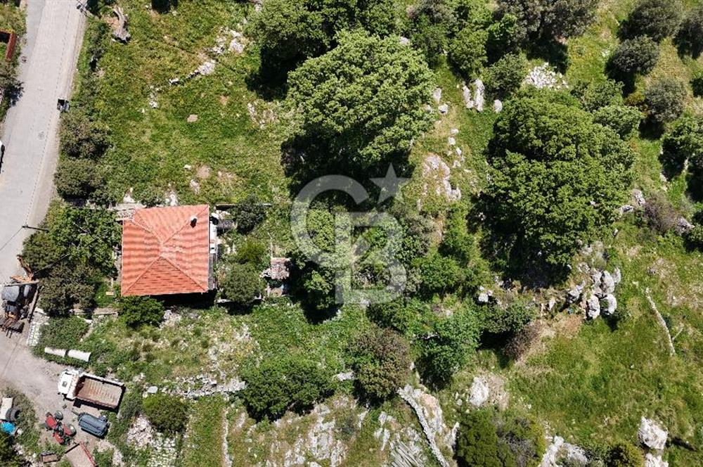 İzmir Güzelbahçe Payamlı Mahallesinde satılık 717 m2 arsa