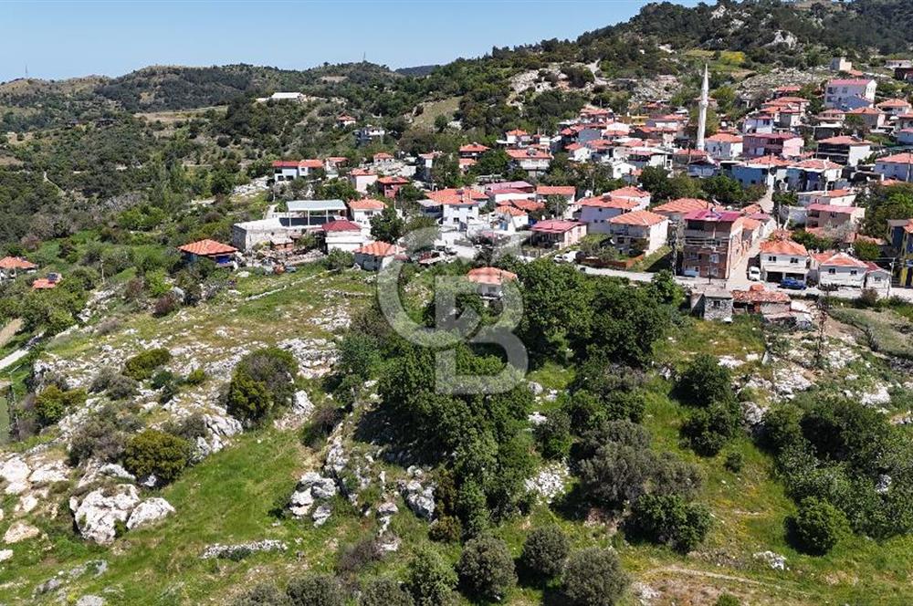 İzmir Güzelbahçe Payamlı Mahallesinde satılık 717 m2 arsa
