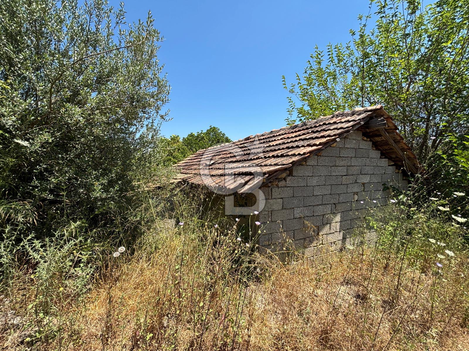 MANAVGAT ÇAVUŞKÖYDE 427 M2 ARSA