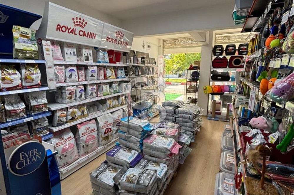 HAZIR MÜŞTERİLİ,E-TİCARET ALTYAPILI DEVREN SATILIK PET SHOP