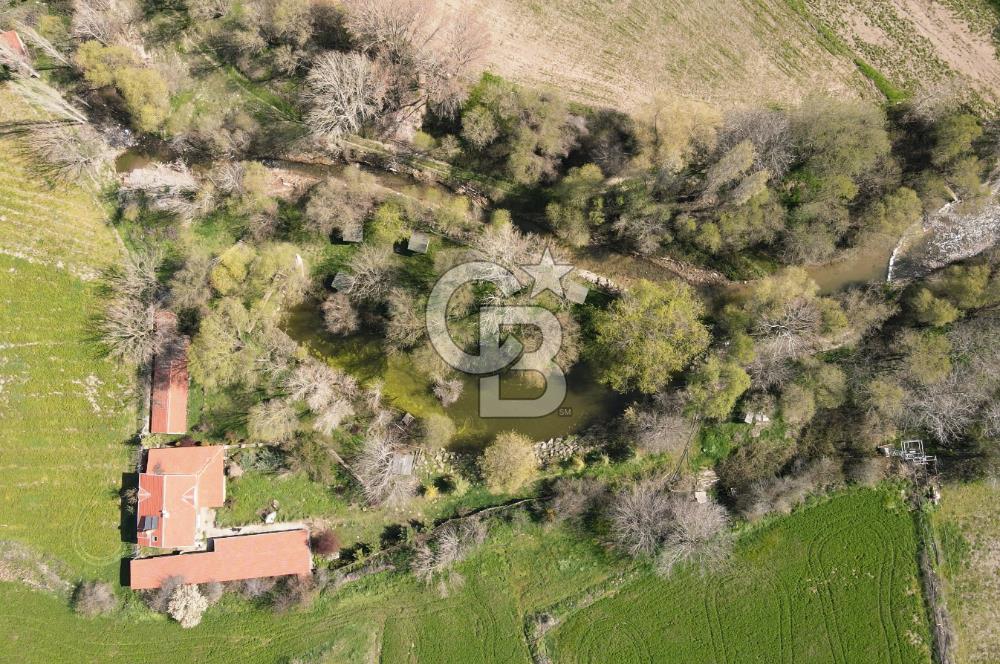 YAPAY GÖLETLİ, TESİS KULLANIMINA UYGUN 7.000m2 ÇİFTLİK