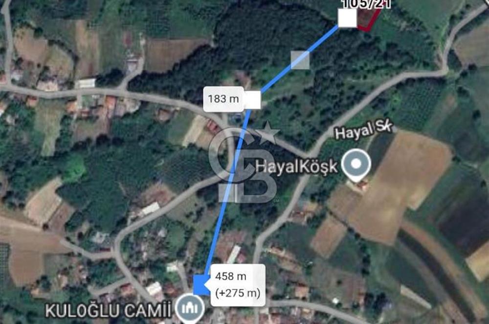 Sakarya kaynarca satılık fındık bahçesi 