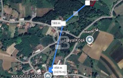 Sakarya kaynarca satılık fındık bahçesi 