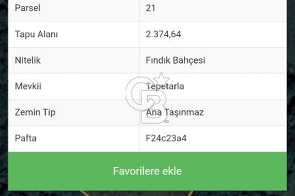 Sakarya kaynarca satılık fındık bahçesi 