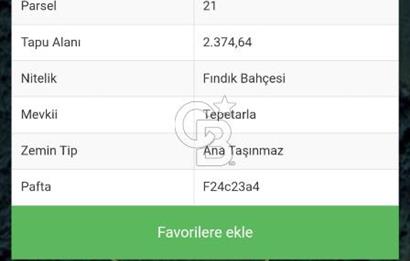 Sakarya kaynarca satılık fındık bahçesi 