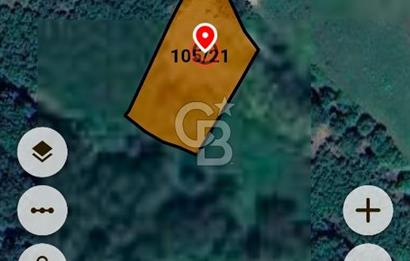 Sakarya kaynarca satılık fındık bahçesi 