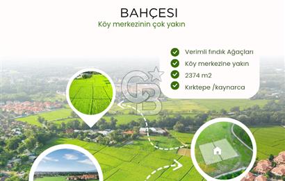 Sakarya kaynarca satılık fındık bahçesi 